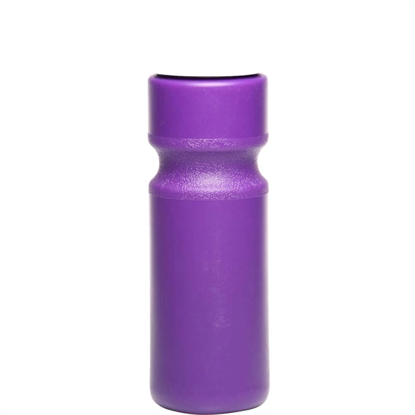 28 oz. Push Cap Plastic Water Bottle | Plum Grove