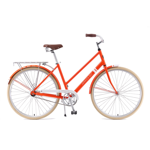 Dutch Step Through Bike - Dutch Step Through Bike - Image 11 of 14