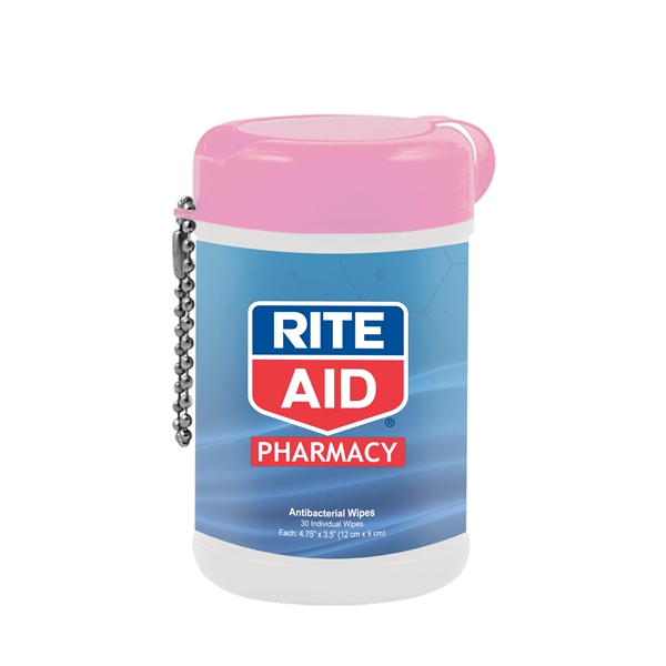 TekWipes Antibacterial Wet Wipes 30 Individual Wipes Plum Grove