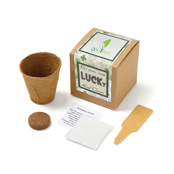 Lucky 4 Leaf Clover Seed Growable Planter Kit - Lucky 4 Leaf Clover Seed Growable Planter Kit - Image 0 of 0