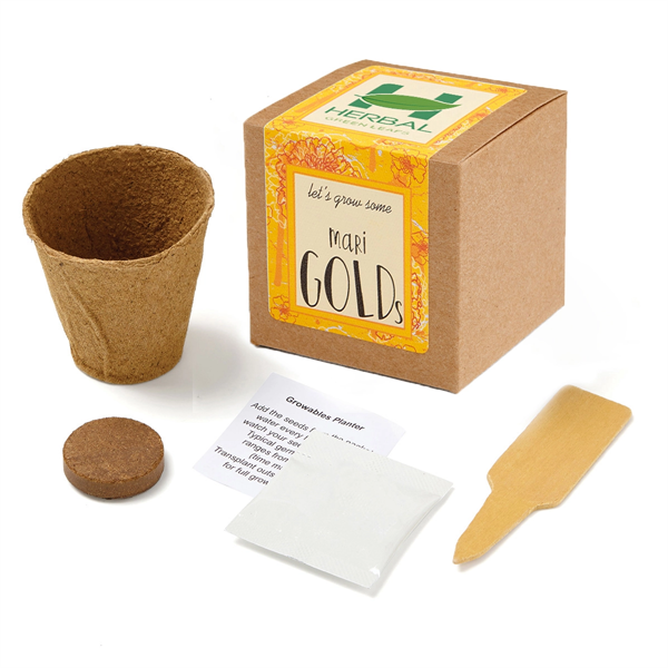 Marigold Seed Growable Planter Kit - Marigold Seed Growable Planter Kit - Image 0 of 0
