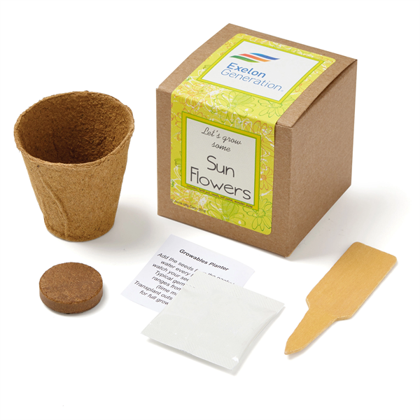 Sunflower Seed Growables Planter in Kraft Gift Box - Sunflower Seed Growables Planter in Kraft Gift Box - Image 0 of 0