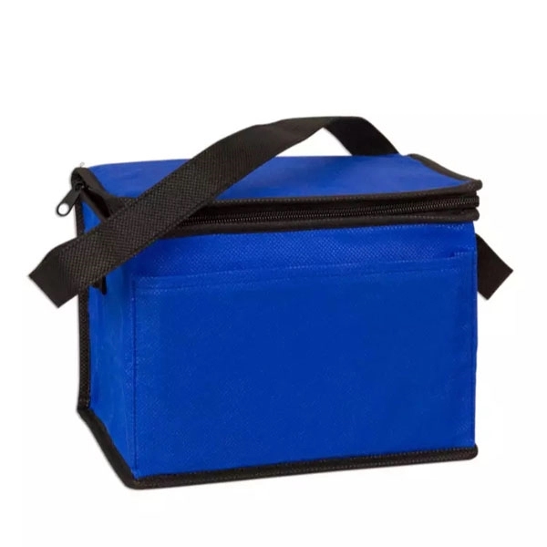Portable 6 Can Pack Insulated Non Woven Cooler Bag - Portable 6 Can Pack Insulated Non Woven Cooler Bag - Image 1 of 9