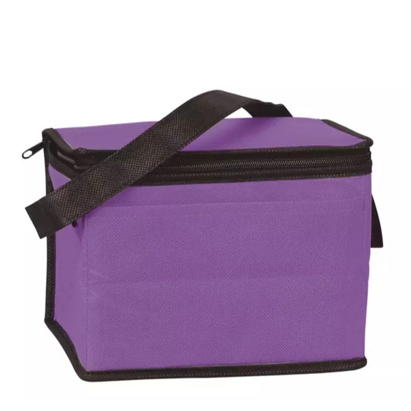 Portable 6 Can Pack Insulated Non Woven Cooler Bag - Portable 6 Can Pack Insulated Non Woven Cooler Bag - Image 2 of 9
