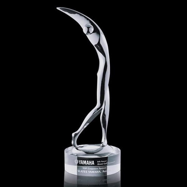 Stoke Golfer Award