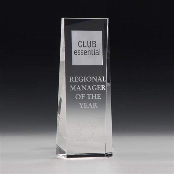 McKinley Tower Award
