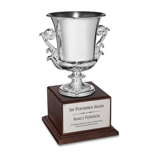 Custom Award Cup - Silver
