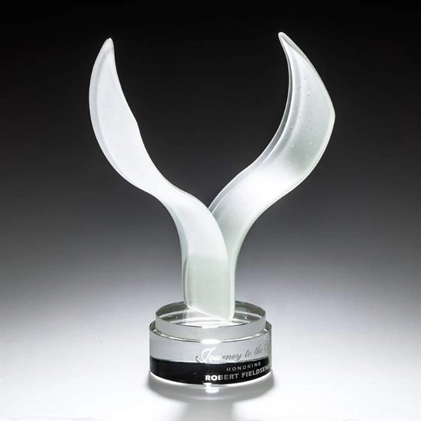 Custom Aerial Award
