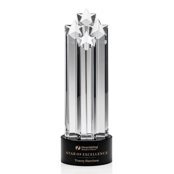 Ascot Star Award - Black - Ascot Star Award - Black - Image 3 of 3