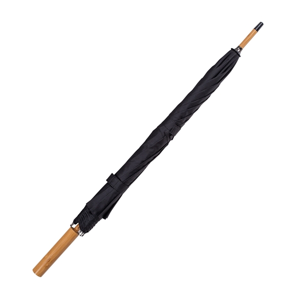 The Selva - The Selva - Image 3 of 4