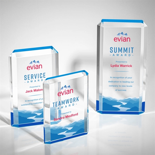Paragon VividPrint™ Award - Paragon VividPrint™ Award - Image 0 of 6