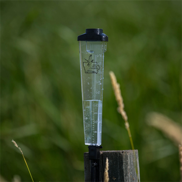 Triangle Rain Gauge - Triangle Rain Gauge - Image 1 of 2