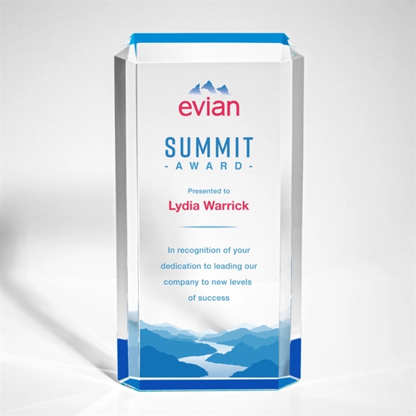 Paragon VividPrint™ Award - Paragon VividPrint™ Award - Image 6 of 6