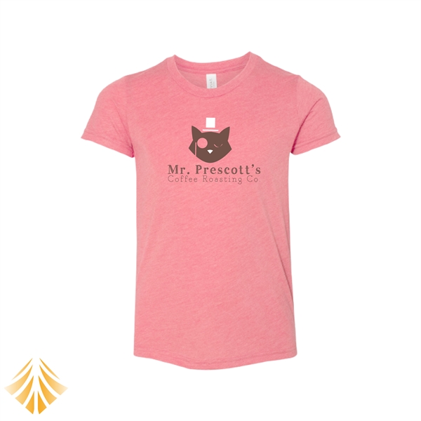 Youth Short Sleeve Triblend Tee - Youth Short Sleeve Triblend Tee - Image 0 of 0