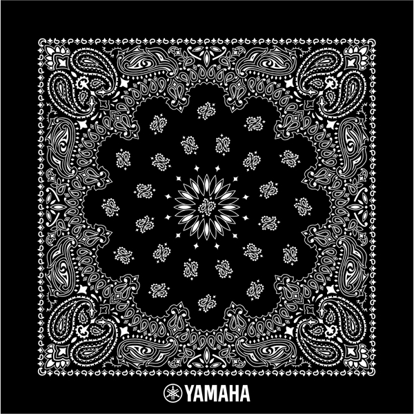 Promotional Grade Economic Paisley Bandana - Imported - Promotional Grade Economic Paisley Bandana - Imported - Image 2 of 23