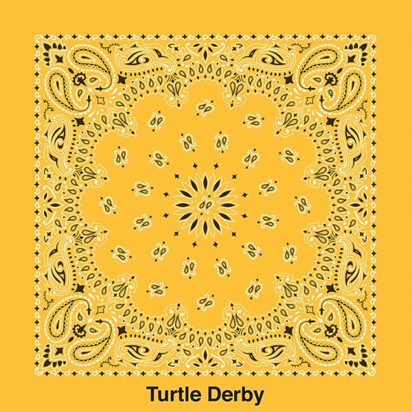 Promotional Grade Economic Paisley Bandana - Imported - Promotional Grade Economic Paisley Bandana - Imported - Image 21 of 23
