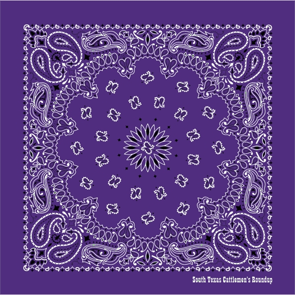 Promotional Grade Economic Paisley Bandana - Imported - Promotional Grade Economic Paisley Bandana - Imported - Image 7 of 23