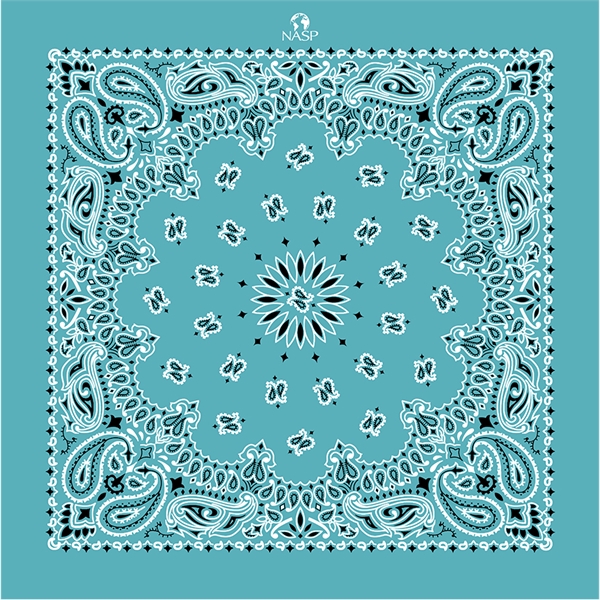 Promotional Grade Economic Paisley Bandana - Imported - Promotional Grade Economic Paisley Bandana - Imported - Image 8 of 23