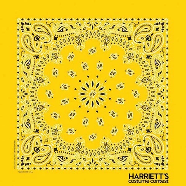 Promotional Grade Economic Paisley Bandana - Imported - Promotional Grade Economic Paisley Bandana - Imported - Image 17 of 23