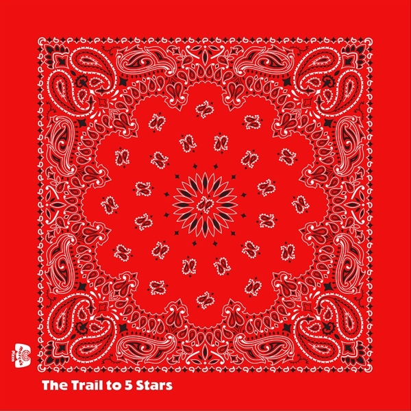 Promotional Grade Economic Paisley Bandana - Imported - Promotional Grade Economic Paisley Bandana - Imported - Image 0 of 23