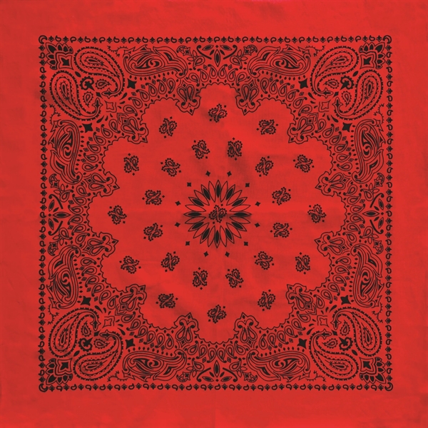 Austin Paisley Bandana - Imported - Austin Paisley Bandana - Imported - Image 1 of 4