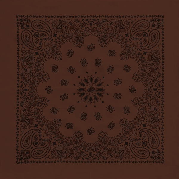 Austin Paisley Bandana - Imported - Austin Paisley Bandana - Imported - Image 2 of 4