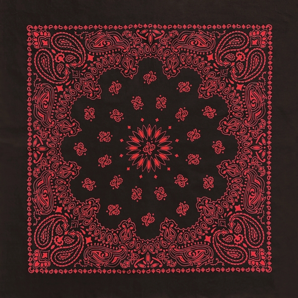 Austin Paisley Bandana - Imported - Austin Paisley Bandana - Imported - Image 4 of 4