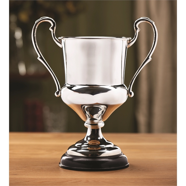 Brigadier Trophy Cup - Brigadier Trophy Cup - Image 1 of 1