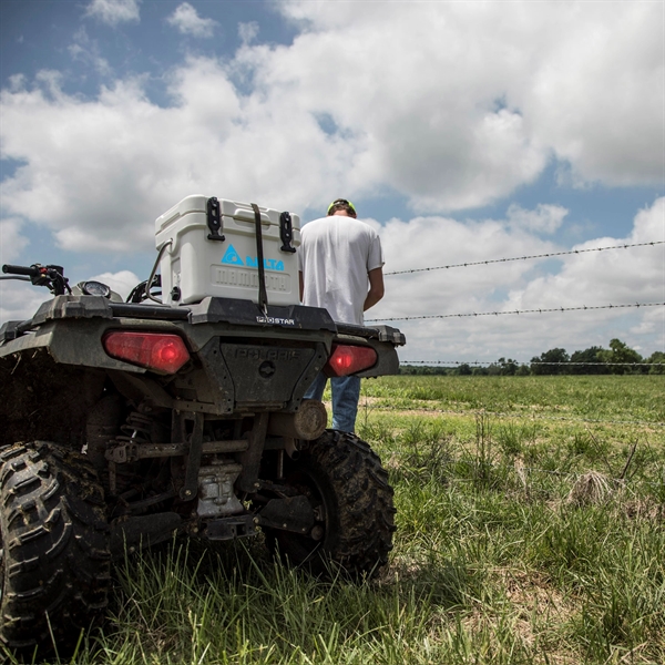 MAMMOTH® CRUISER 15 COOLER - MAMMOTH® CRUISER 15 COOLER - Image 17 of 18
