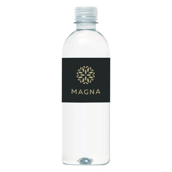 16.9 oz Bottled Water - 16.9 oz Bottled Water - Image 0 of 1
