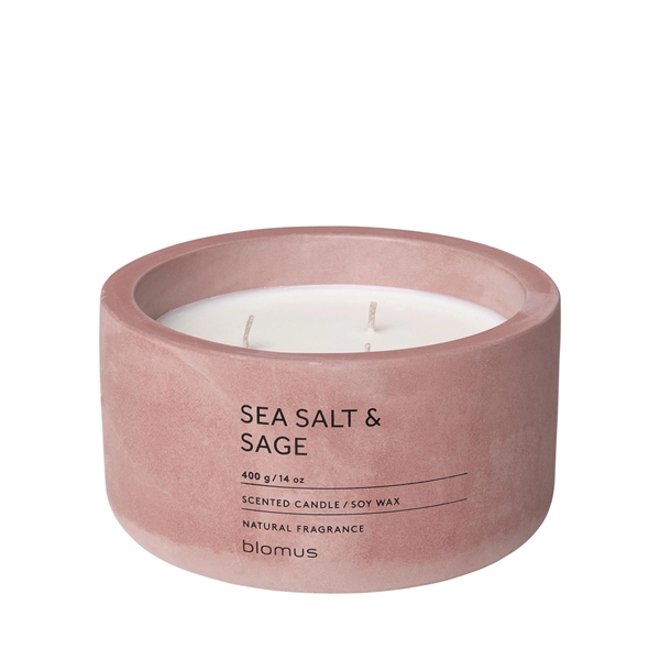 FRAGRA Scented Candle in Concrete Container - 3 Wick - FRAGRA Scented Candle in Concrete Container - 3 Wick - Image 1 of 6