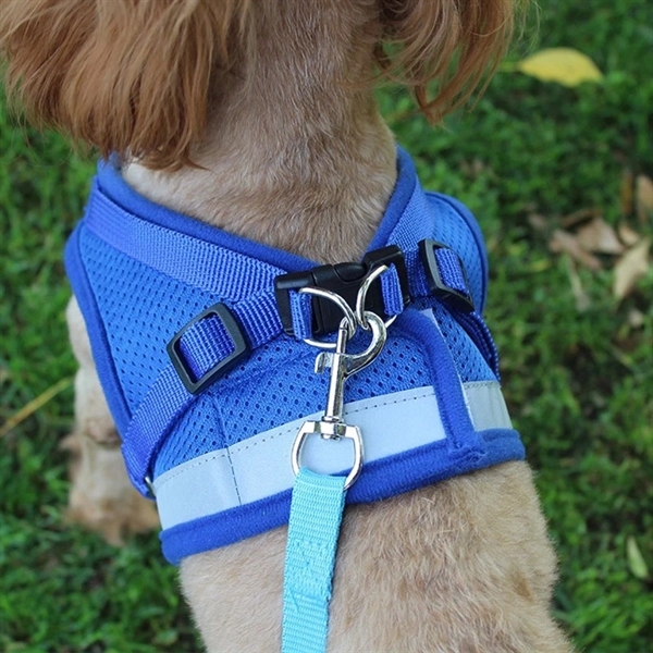 Pet Dog Harness Leash Set - Pet Dog Harness Leash Set - Image 2 of 2