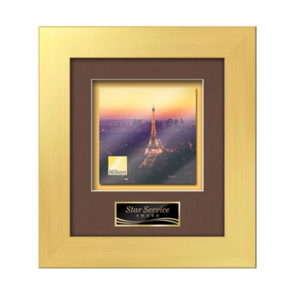 Custom Premier -  Gold