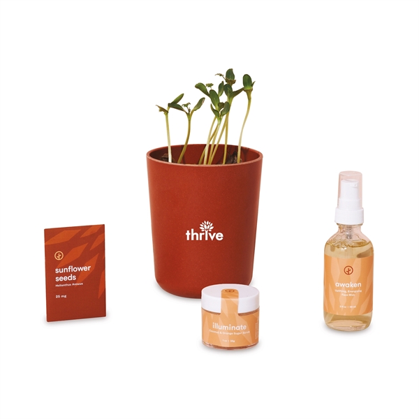 Modern Sprout® Shine Bright Take Care Kit - Sunflower - Modern Sprout® Shine Bright Take Care Kit - Sunflower - Image 0 of 3