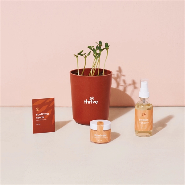 Modern Sprout® Shine Bright Take Care Kit - Sunflower - Modern Sprout® Shine Bright Take Care Kit - Sunflower - Image 1 of 3