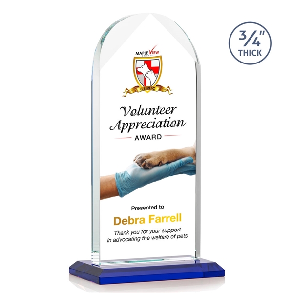 Blake VividPrint™ Award - Blue