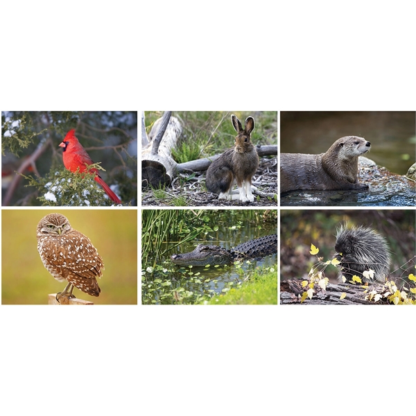 North American Wildlife Desk Calendar - North American Wildlife Desk Calendar - Image 2 of 3