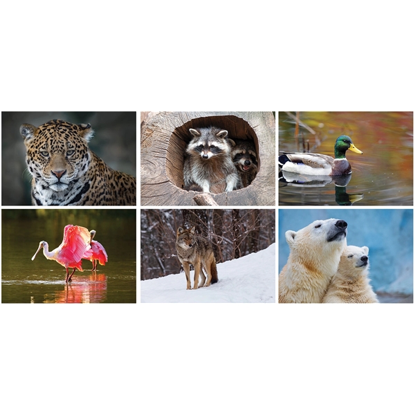 North American Wildlife Desk Calendar - North American Wildlife Desk Calendar - Image 3 of 3