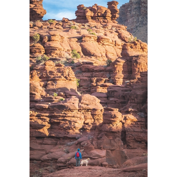 Osprey Daylite® - Osprey Daylite® - Image 22 of 33