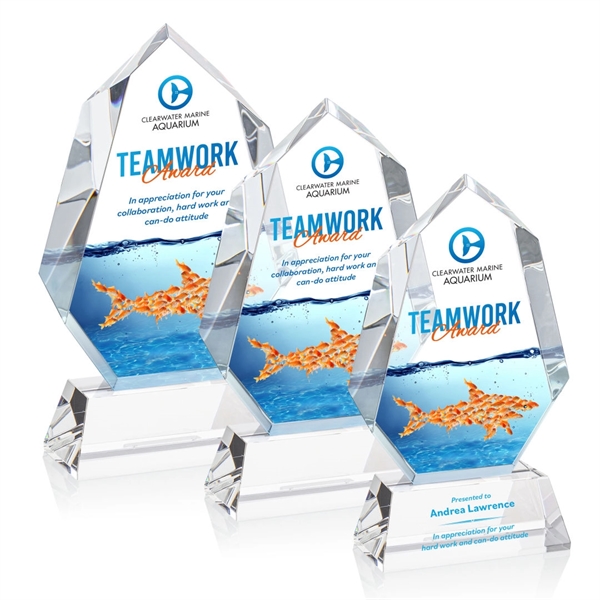 Norwood VividPrint™ Award on Newhaven Base - Clear