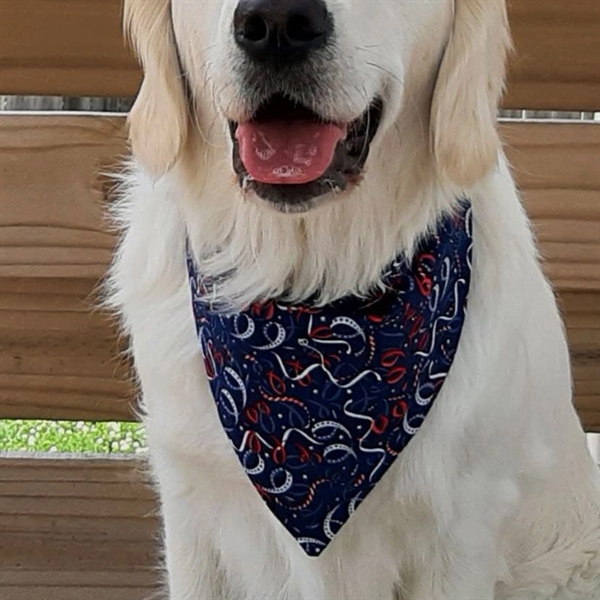 16" x 16" Full Color Dog Bandana - 16" x 16" Full Color Dog Bandana - Image 1 of 2