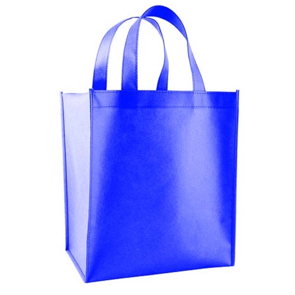 Cost Effective Small Grocery Bag - Cost Effective Small Grocery Bag - Image 1 of 6