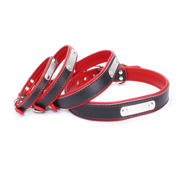 Personalized Nameplate Dog Collar Engraved ID Name Tag - Personalized Nameplate Dog Collar Engraved ID Name Tag - Image 2 of 3