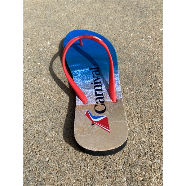 The Flip Flop - The Flip Flop - Image 1 of 3