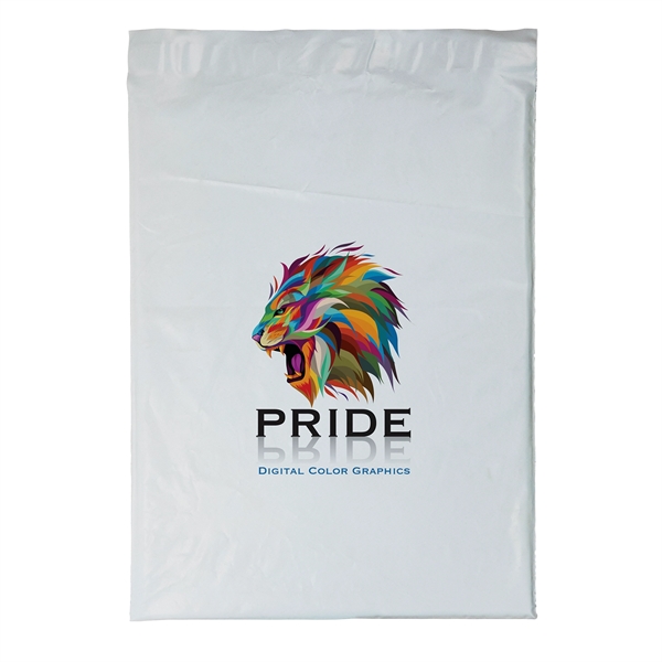 Custom 12W x 15 1/2H Plastic Mailer - Dynamic Color