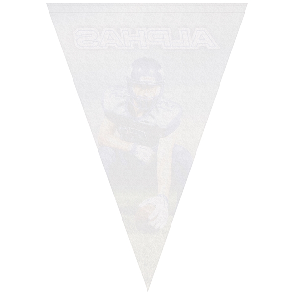 14" x 20" Vertical Triangle Shaped Felt Banner - 14" x 20" Vertical Triangle Shaped Felt Banner - Image 1 of 7