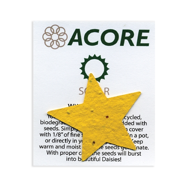 Premium MiniShape - Premium MiniShape - Image 4 of 42