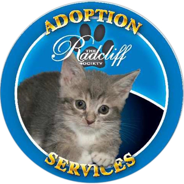 Premium Circle Die Cut Process Color Label - Premium Circle Die Cut Process Color Label - Image 0 of 1