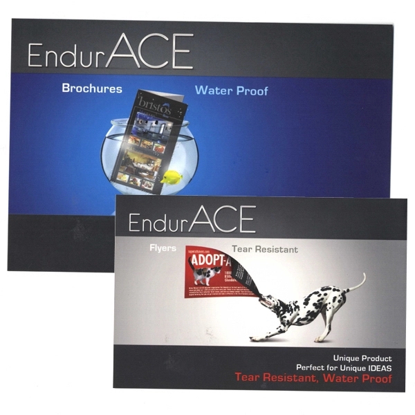 Business Card - Business Card - Image 0 of 0