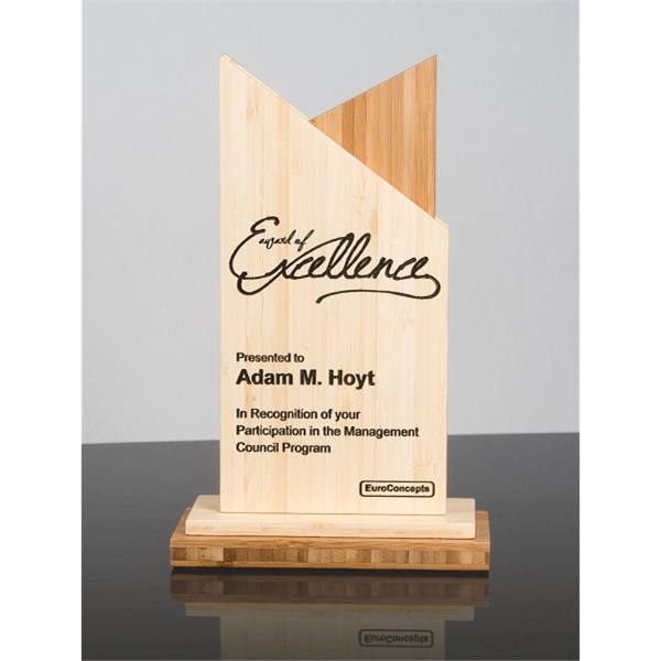 Geo Laser Bamboo Desk Award - Geo Laser Bamboo Desk Award - Image 2 of 2